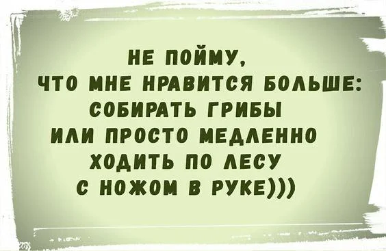 Не пойму - Юмор, Картинка с текстом, Мемы, Повтор, Грибы, Нож, Лес