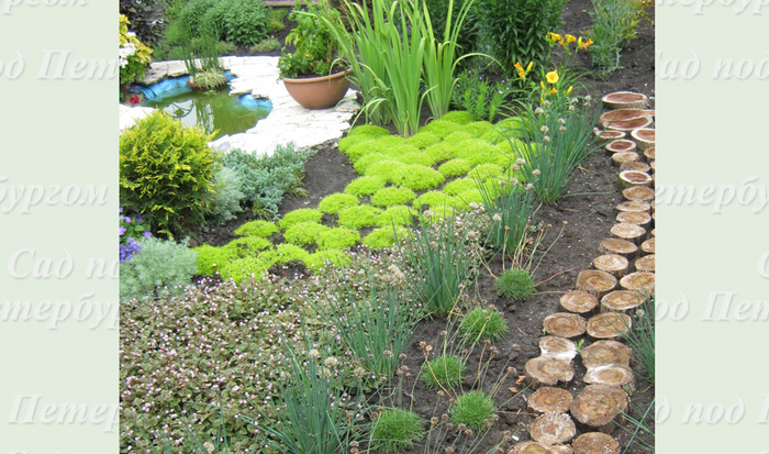 ������ ����� ��������, ���������.