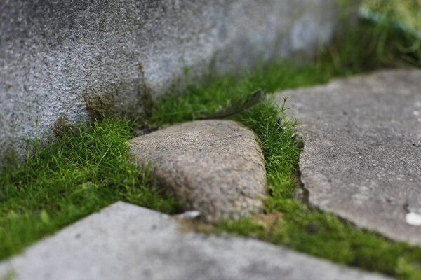 ��� � ���� ����� ��������,<a href="https://pikabu.ru/story/gazon_v_sukhoy_teni_eshche_6_iz_13_mnogoletnikov_kotoryie_spasut_situatsiyu_11864080?u=https%3A%2F%2Fdzen.ru%2Fchadeyka&t=%22%D0%A5%D1%8E%D0%B3%D0%B3%D0%B5%20%D0%BD%D0%B0%20%D1%88%D0%B5%D1%81%D1%82%D0%B8%20%D1%81%D0%BE%D1%82%D0%BA%D0%B0%D1%85%22&h=cac77f3a40f023b0dac2058a0c2cd12f7533bf2d" title="https://dzen.ru/chadeyka" target="_blank" rel="nofollow noopener"> "����� �� ����� ������"</a>