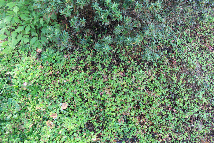 � ����� ����