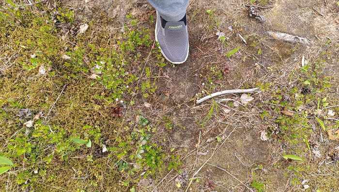 ������ ����� ������?