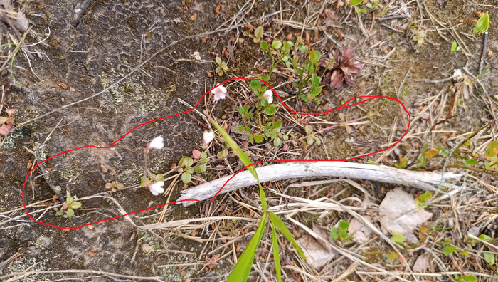 ��� �� ���!