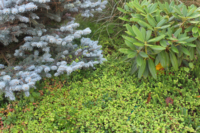 ������ � ����� ����