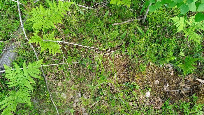 � �����? ��� �� �����, �� ���������� �����������, � �������, �� ��������� �����