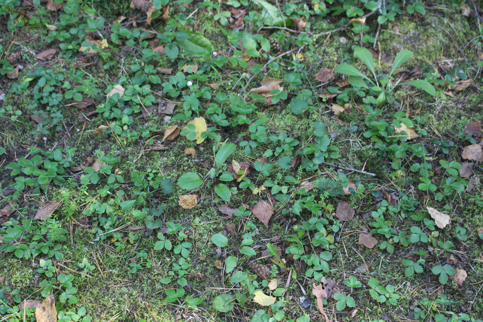 ���� �� ����� ������