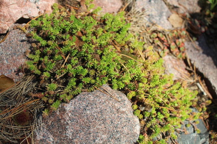 ������ ������������� � ����� ����