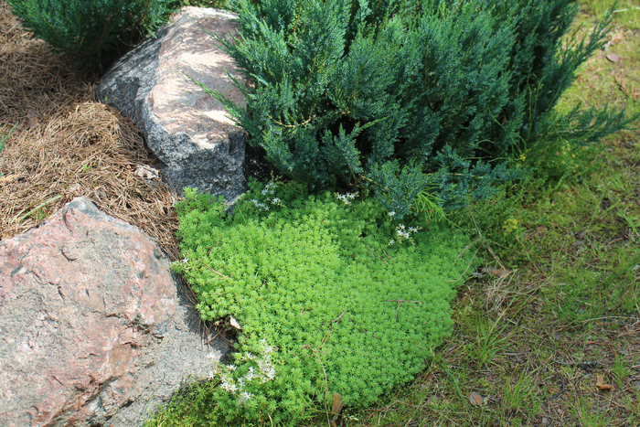 ������ ��������� � ����� ����