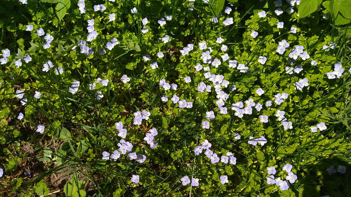 ���� �� ����� ������, ��� - �� ���!!