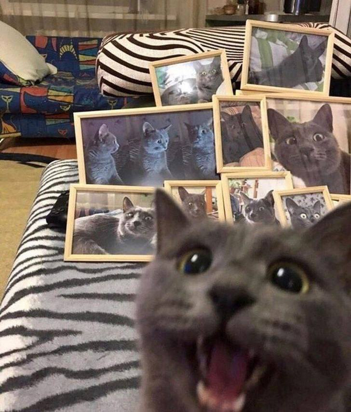   , 