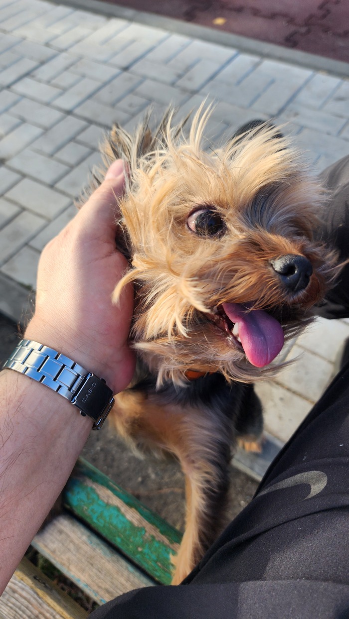 А ваши друзья какие морды корчат?