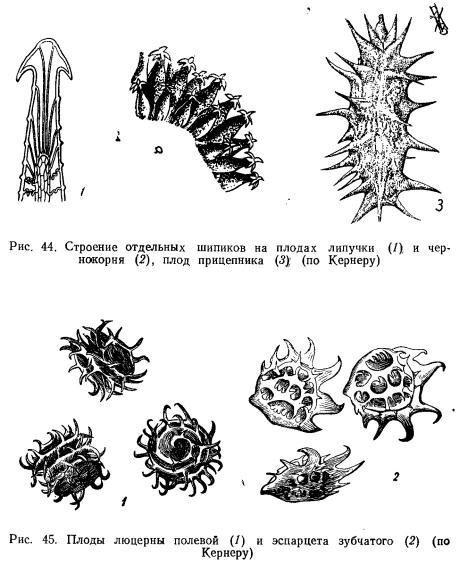 Vir use - Biology, Land, Visitors, Silicon life form, Hydrocarbon, Carbon, Plants