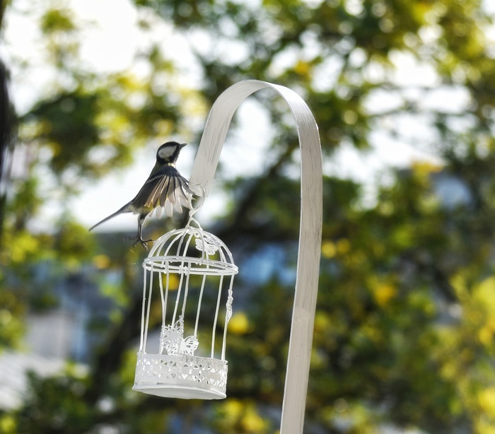 На цыпочках