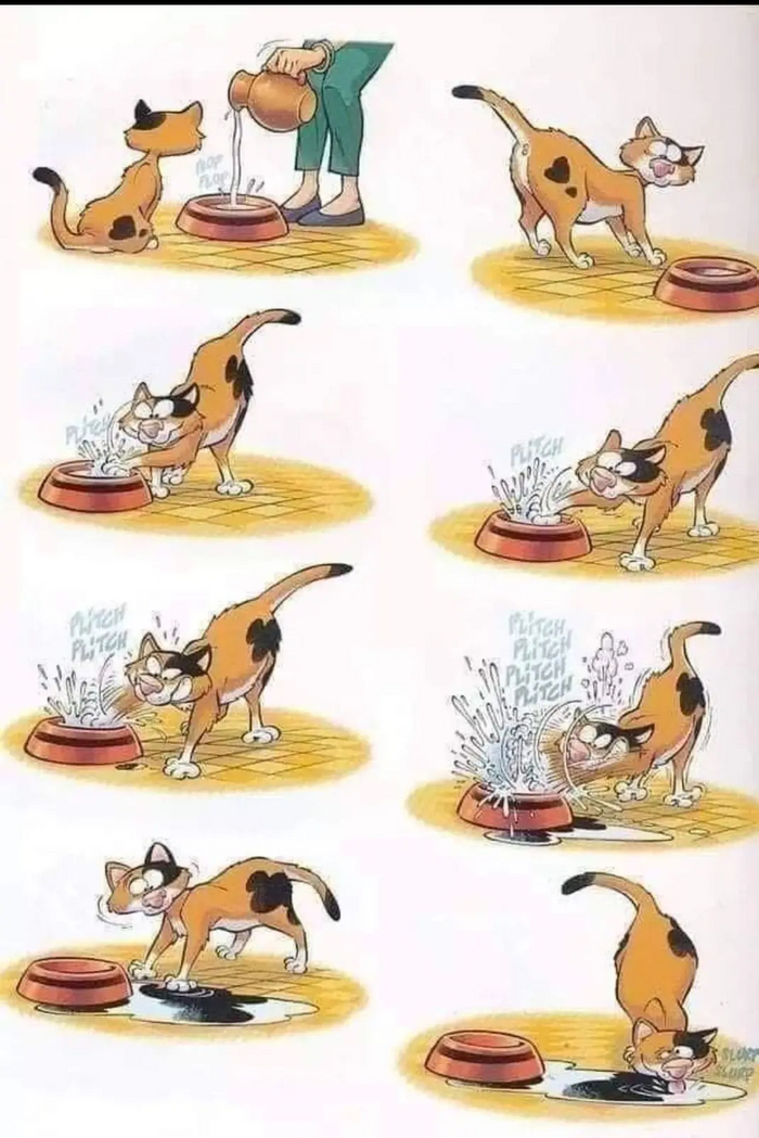   , 