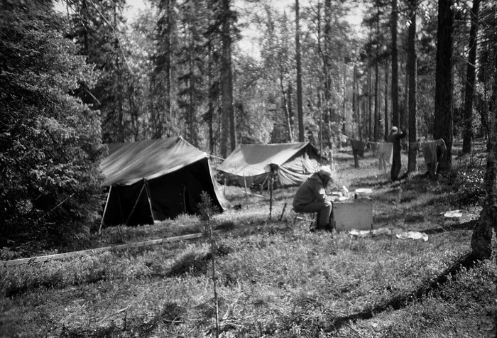 1988. Riding All-Terrain Vehicles, Part 3 - My, Geology, Geologists, Geophysics, geophysicists, Arkhangelsk region, Summer practise, Life stories, 80-е, Memories, Longpost