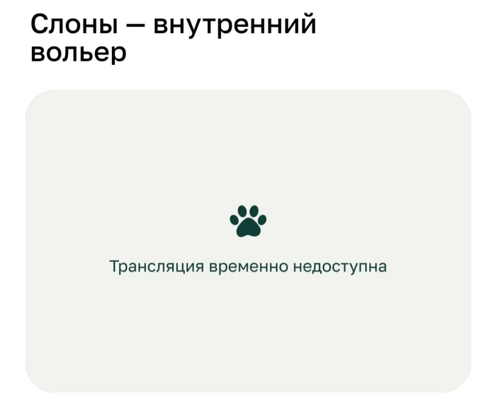 Response to the post You can now watch animals at the Moscow Zoo via online broadcast - My, Moscow Zoo, Zoo, Broadcast, Live, Animals, news, Marasmus, Negative, Mansur Bear, Idiocy, Reply to post, Text, Society, A wave of posts