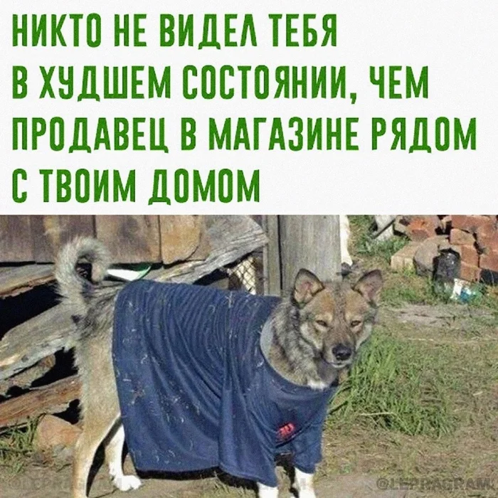 1727885911182987560.webp