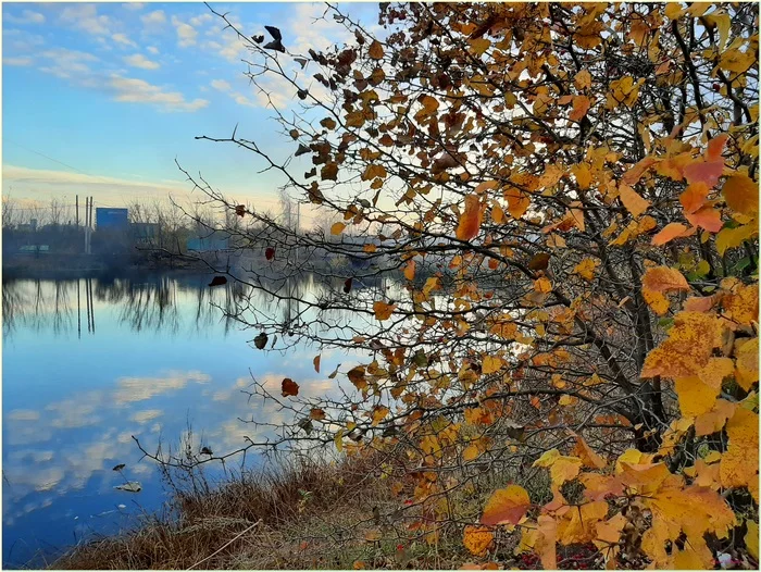 It's getting colder - My, The photo, Landscape, Autumn, Autumn leaves, Pond