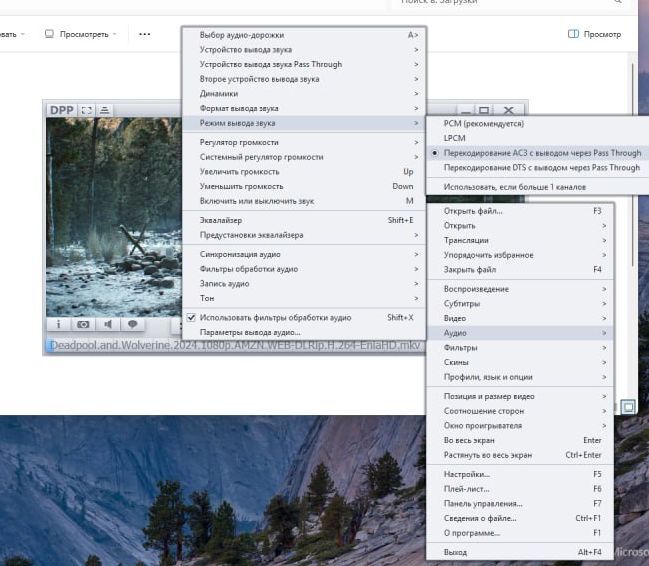     spdif   potplayer   5.1 , ,  , , 
