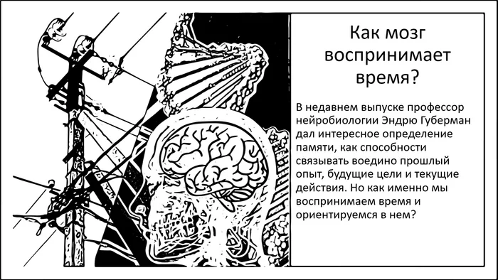 How does the brain perceive time? And why does space-time appear as a single structure? - My, Brain, The science, Research, Nauchpop, Perception, Time, Space, Space and time, Longpost