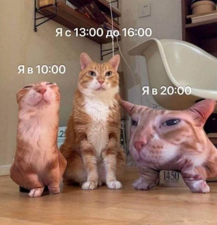 �� ������ ���?