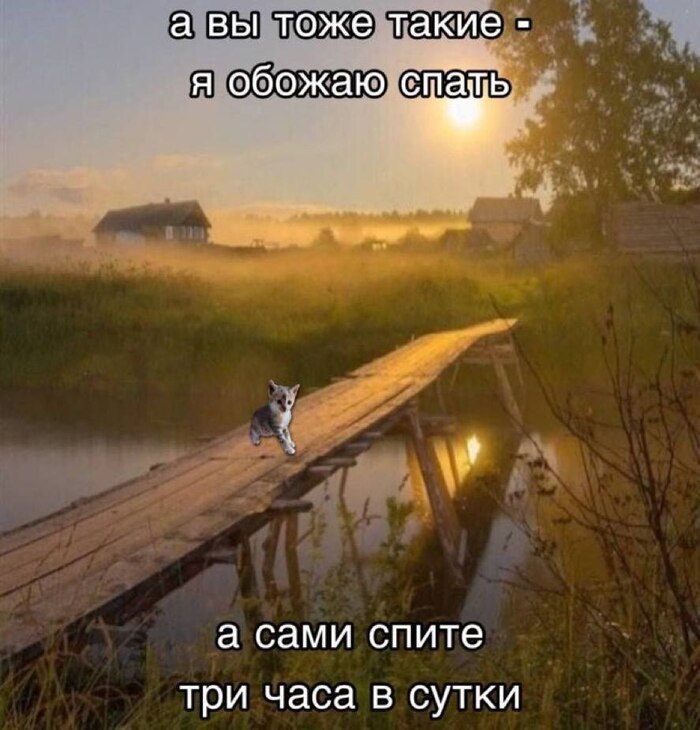   ,   , 