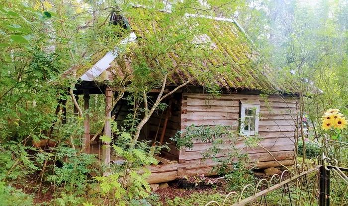 Заброшенная часовня - Мобильная фотография, Часовня