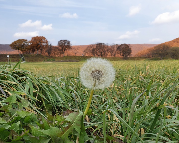 �������