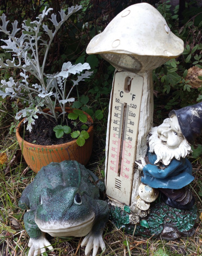 Колыбельная. Садовым лягушкам и садоводам