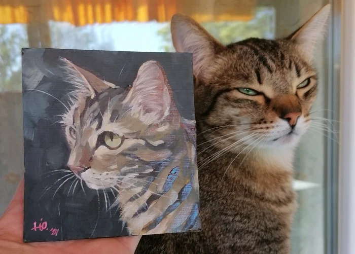 The customer is proud and satisfied - My, cat, Pets, Artist, Painting, Oil painting, Etude, Portrait, Animalistics, Author's painting, Striped, Art