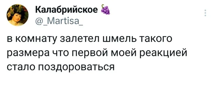 Бонжорно - Юмор, Социальные сети, Шмель, Скриншот, Twitter