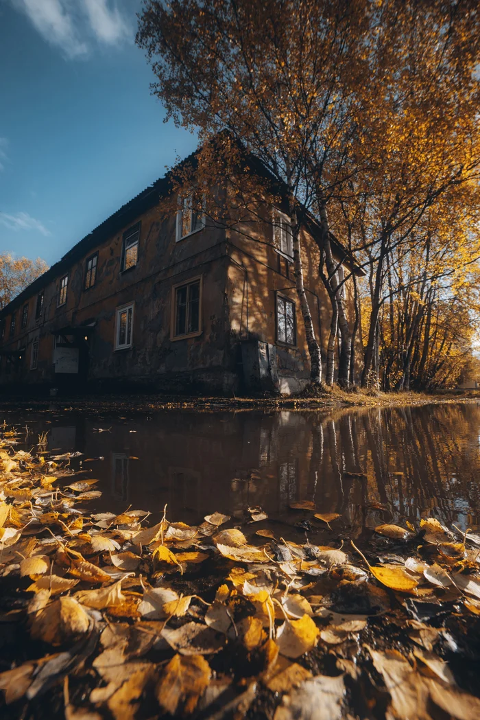 Осень на улице Первомайской - Моё, Мурманск, Кольский полуостров, Фотография