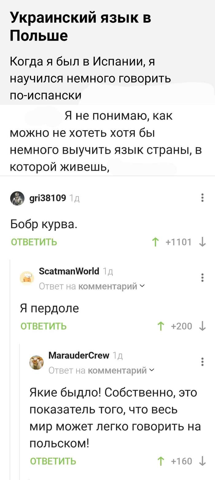 �������� ����