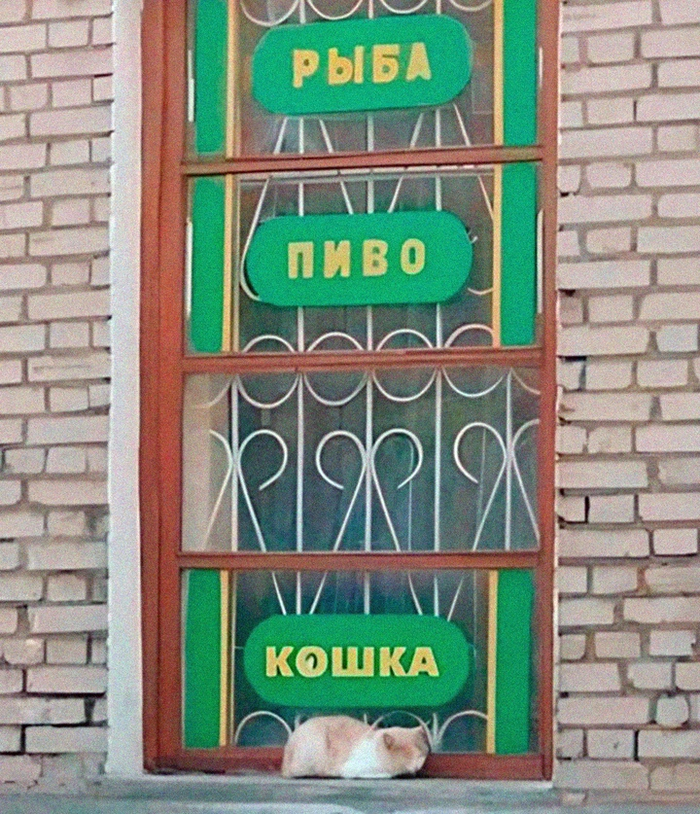 Все на своих местах