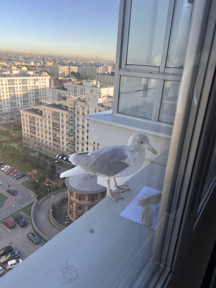 ����� ������ ����� � ����� � �������������� �� ������ �����