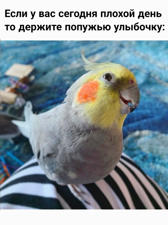   ! , ,   , , 