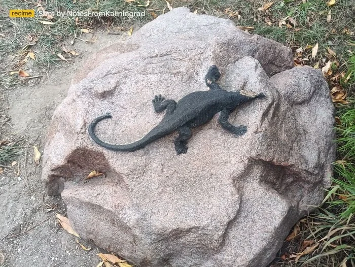 Lizard on a rock - My, Sculpture, Lizard, Zelenogradsk, Kaliningrad region, City walk, Street photography, Kaliningrad, The photo