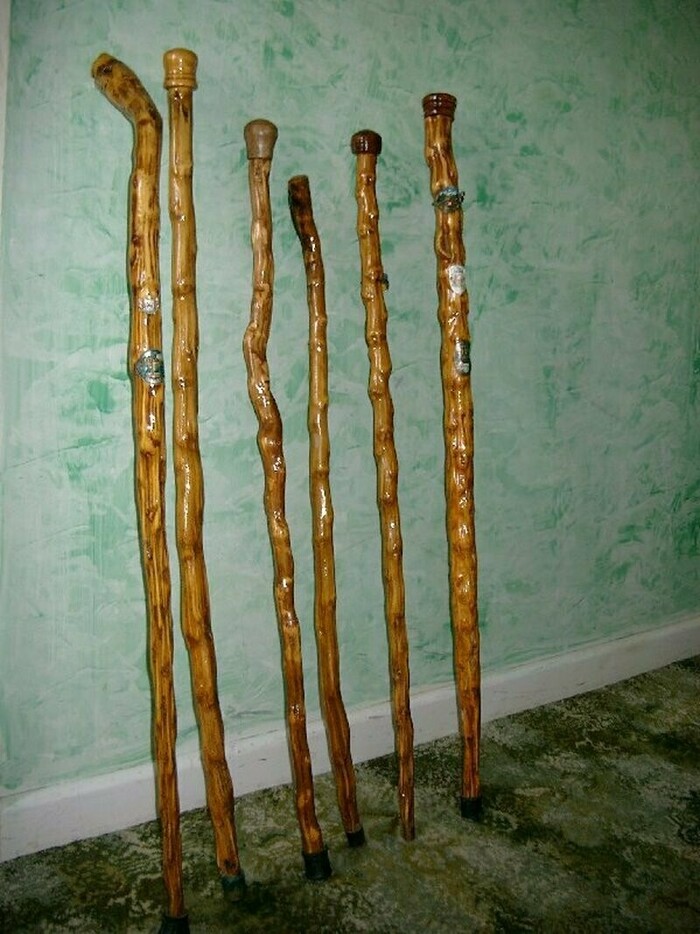 Трости, сделанные из стеблей джерсийской капусты. Фото с сайта <!--noindex--><a href="https://pikabu.ru/story/kapusta_ogorodnaya__takaya_raznaya_11867918?u=http%3A%2F%2Ftravelask.ru&t=travelask.ru&h=321b25fd32432980d872fb7389b28bbc0fc68272" title="http://travelask.ru" target="_blank" rel="nofollow noopener">travelask.ru</a><!--/noindex-->.