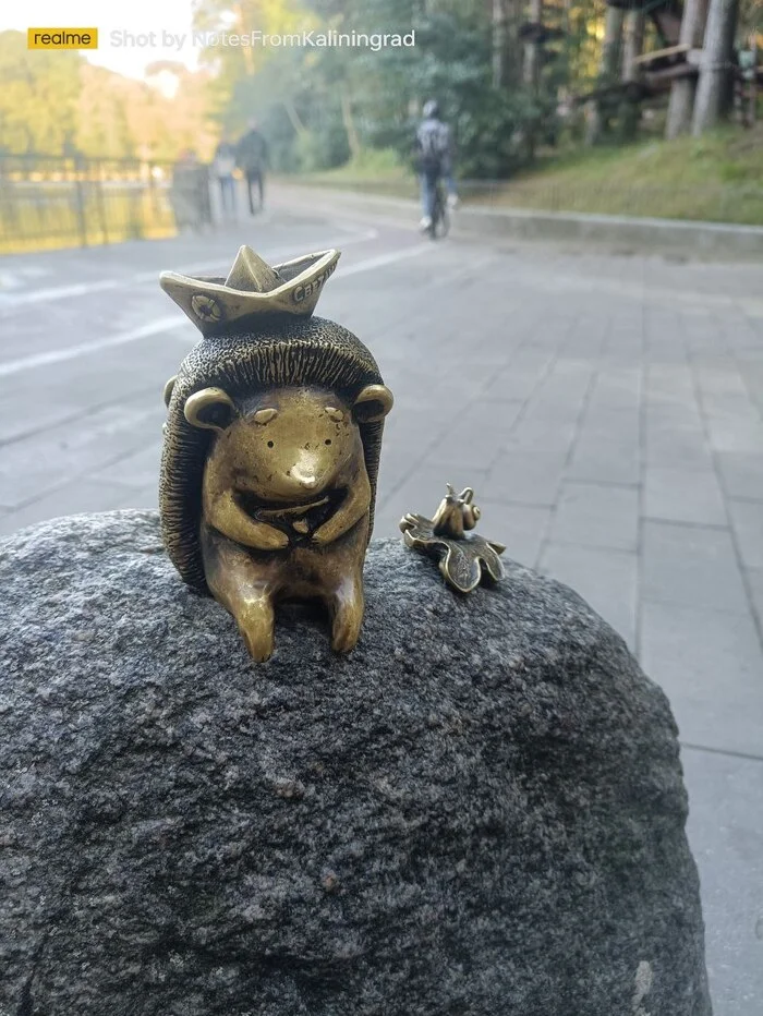 Hedgehog Svetlik - My, Sculpture, Hedgehog, Svetlogorsk, City walk, Kaliningrad region, Street photography, The photo