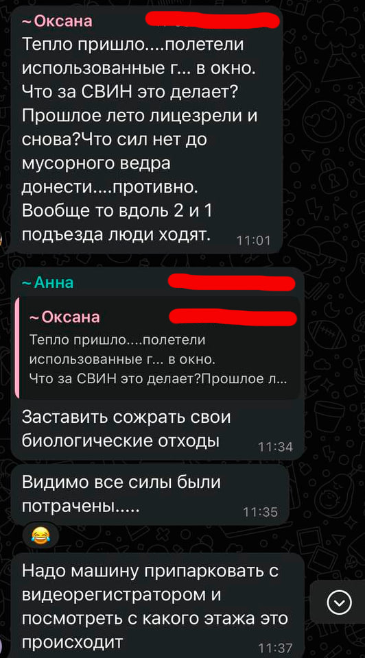 История одного дня домового чата - Домовой чат, Whatsapp, Скриншот, Чат, Переписка, Длиннопост