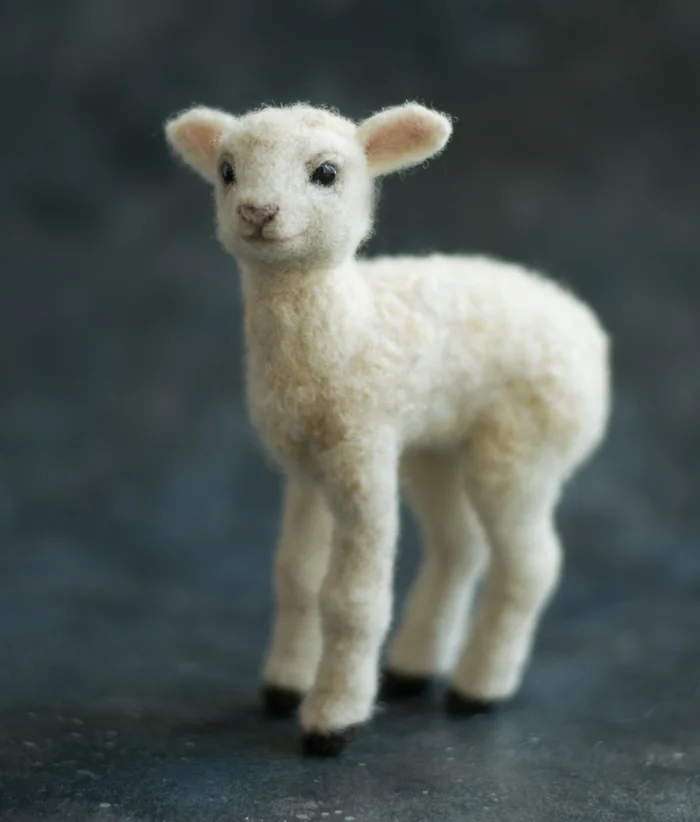 Felted lamb - My, Dry felting, Needlework without process, Lamb, Longpost