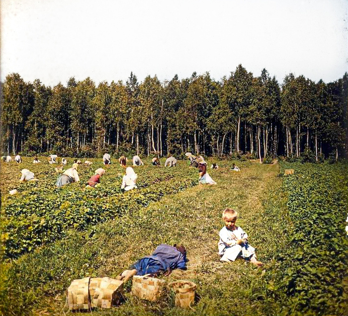 Удивительные и интересные фотографии Подмосковья времен Дореволюционной России. 20 раскрашенных фотографий Историческое фото, Старое фото, История города, Московская область, Фотография, Колоризация, 19 век, 20 век, Российская империя, Балашиха, Коломна, Мытищи, Длиннопост Удивительные и интересные фотографии Подмосковья времен Дореволюционной России. 20 раскрашенных фотографий Историческое фото, Старое фото, История города, Московская область, Фотография, Колоризация, 19 век, 20 век, Российская империя, Балашиха, Коломна, Мытищи, Длиннопост