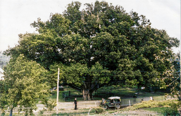 Подборка простых и потрясающих фотографий эпохи СССР. 20 раскрашенных фотографий, Часть X Старое фото, Фотография, СССР, Сделано в СССР, Детство в СССР, Колоризация, 70-е, 60-е, 80-е, 50-е, Длиннопост Подборка простых и потрясающих фотографий эпохи СССР. 20 раскрашенных фотографий, Часть X Старое фото, Фотография, СССР, Сделано в СССР, Детство в СССР, Колоризация, 70-е, 60-е, 80-е, 50-е, Длиннопост