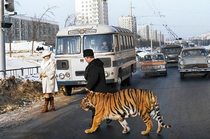 Подборка простых и потрясающих фотографий эпохи СССР. 20 раскрашенных фотографий, Часть X Старое фото, Фотография, СССР, Сделано в СССР, Детство в СССР, Колоризация, 70-е, 60-е, 80-е, 50-е, Длиннопост Подборка простых и потрясающих фотографий эпохи СССР. 20 раскрашенных фотографий, Часть X Старое фото, Фотография, СССР, Сделано в СССР, Детство в СССР, Колоризация, 70-е, 60-е, 80-е, 50-е, Длиннопост