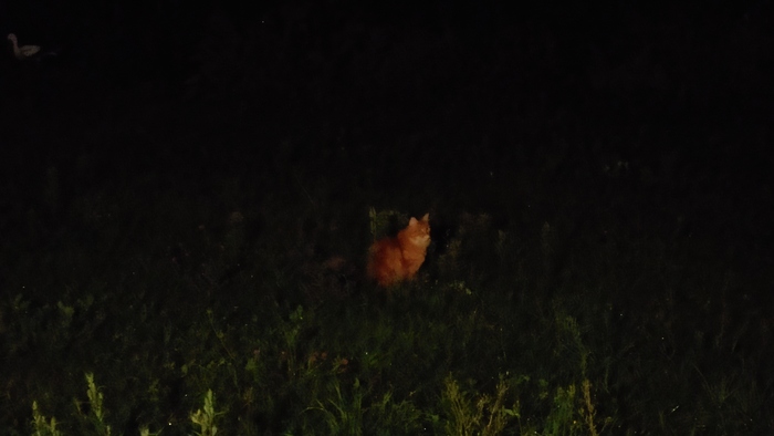 ��� ���������������