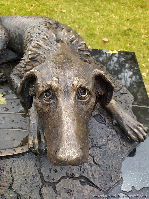 Monument to homeless animals in Moscow - The photo, Animals, Dog, Pets, Longpost