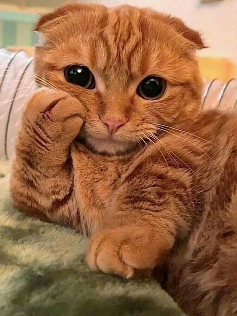 - Уже уходишь? После работы не задерживайся, сразу домой