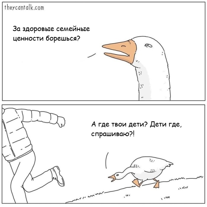       ,     .      ,  , ,   ,  , , , Theycantalk, , 