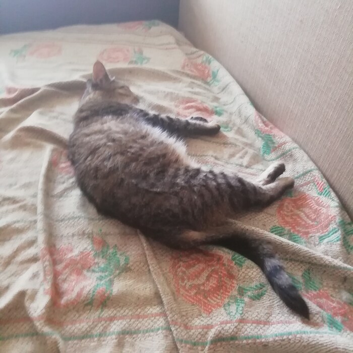 Загар к зиме)