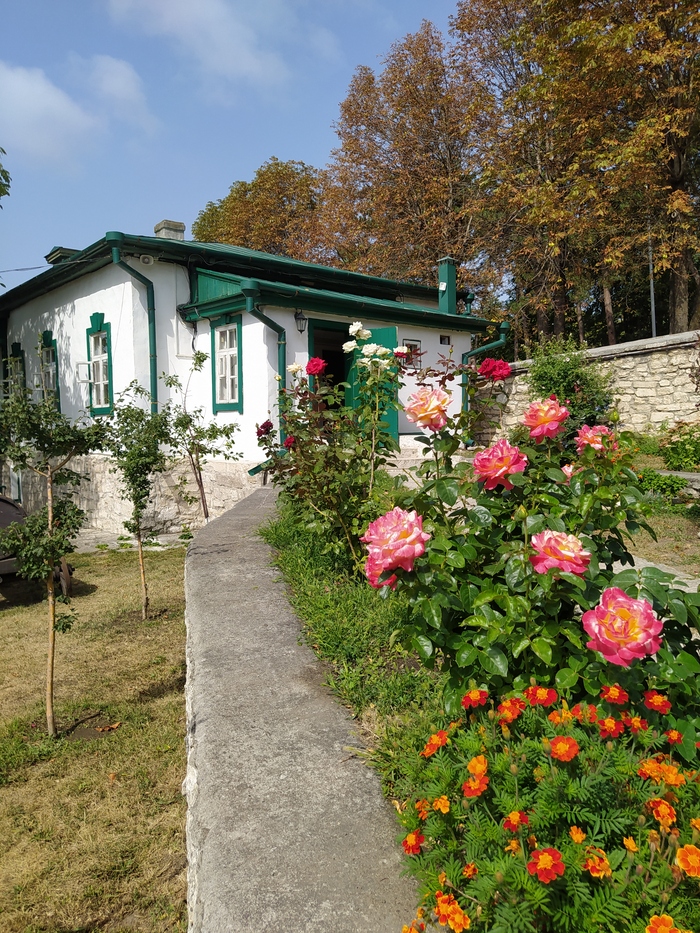 Розы в музее Лермонтова