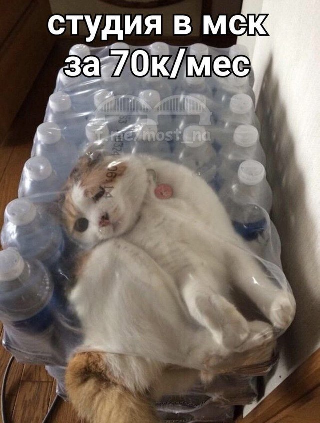    ,   , 